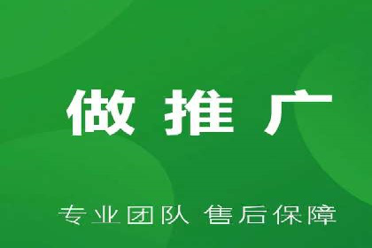 SEM主管实战：案例分析与优化策略